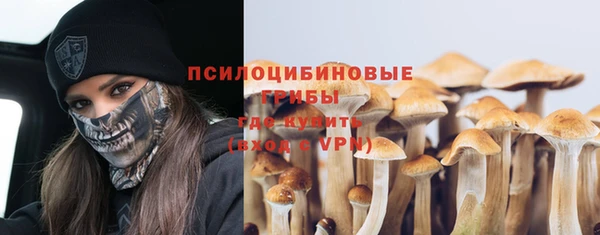 скорость Горно-Алтайск