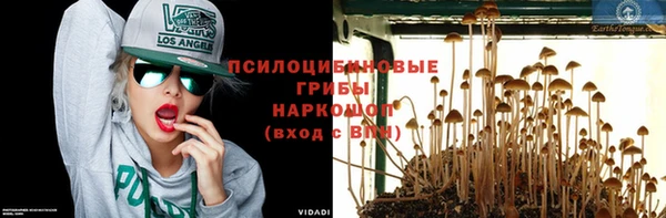 ALPHA-PVP Горняк