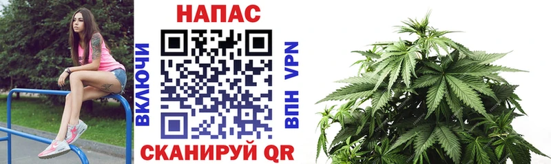 Канабис план  mega зеркало  Сураж 